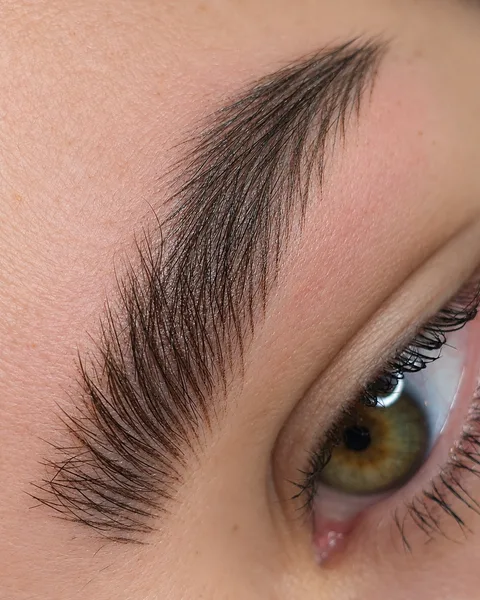 Silky Hairstroke Brows — włos maszynowy Bielsko-Biała — Silky — włos maszynowy w zbliżeniu