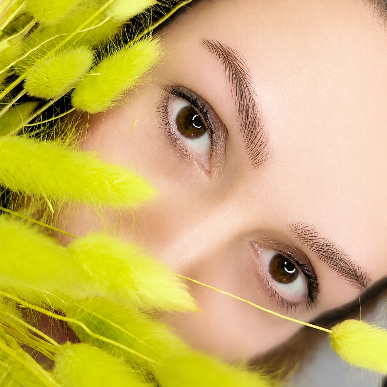 Zbliżenie na brwi wykonane metodą Silky Hairstroke Brows